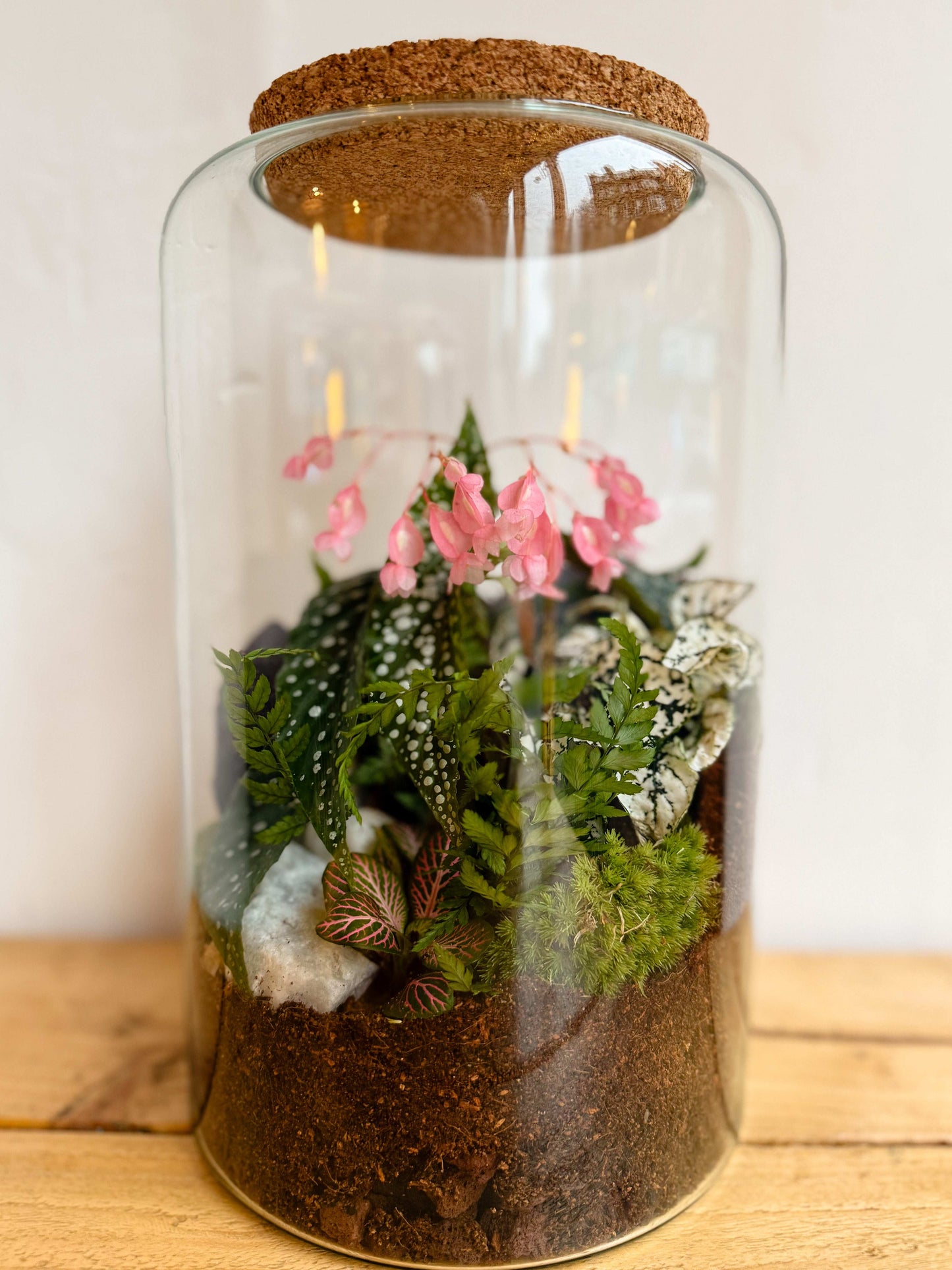 Minimal Vase Terrarium