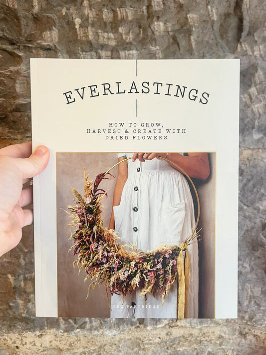 Everlastings (Dried Flowers)