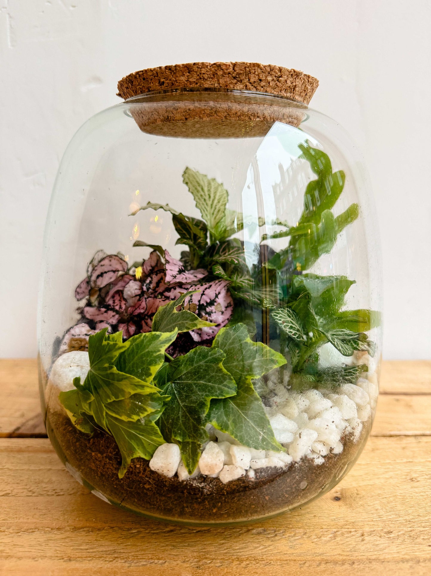 Terrarium Workshop - Closed Dome Vase - 22nd February 2025