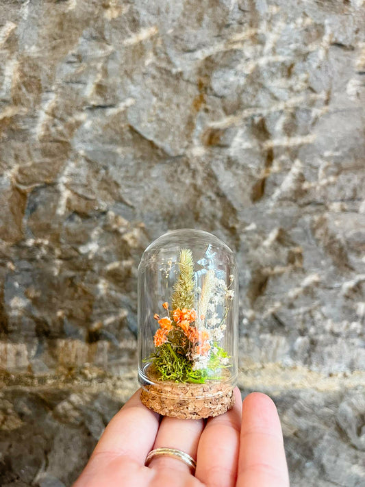 Botanical Bell Jar - Mini