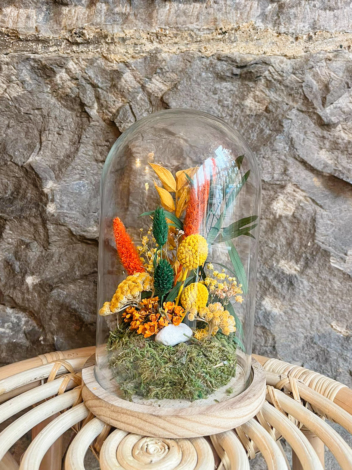 Botanical Bell Jar - Large