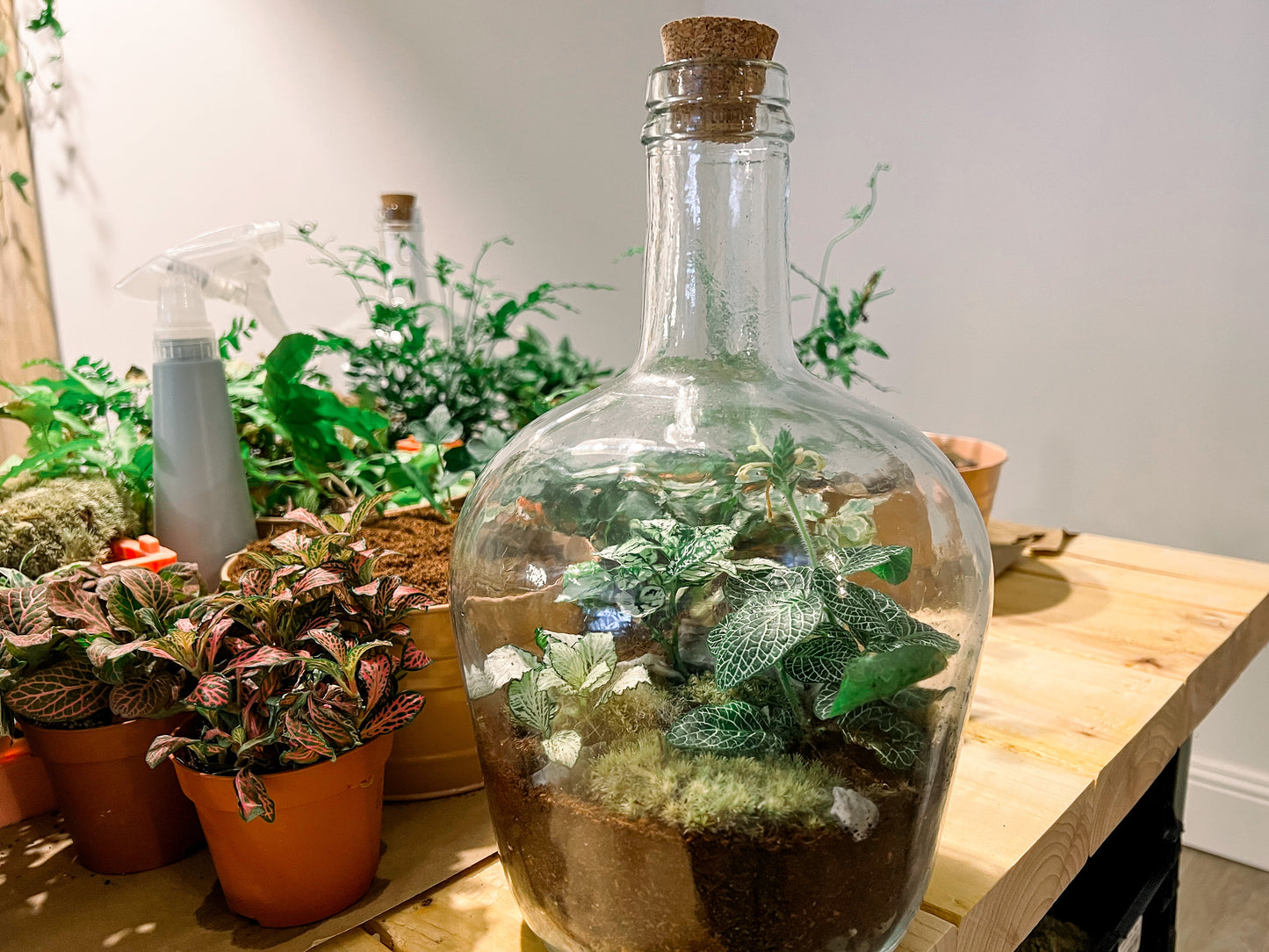 Terrarium Workshop - Closed Demijohn - 15th December 2024