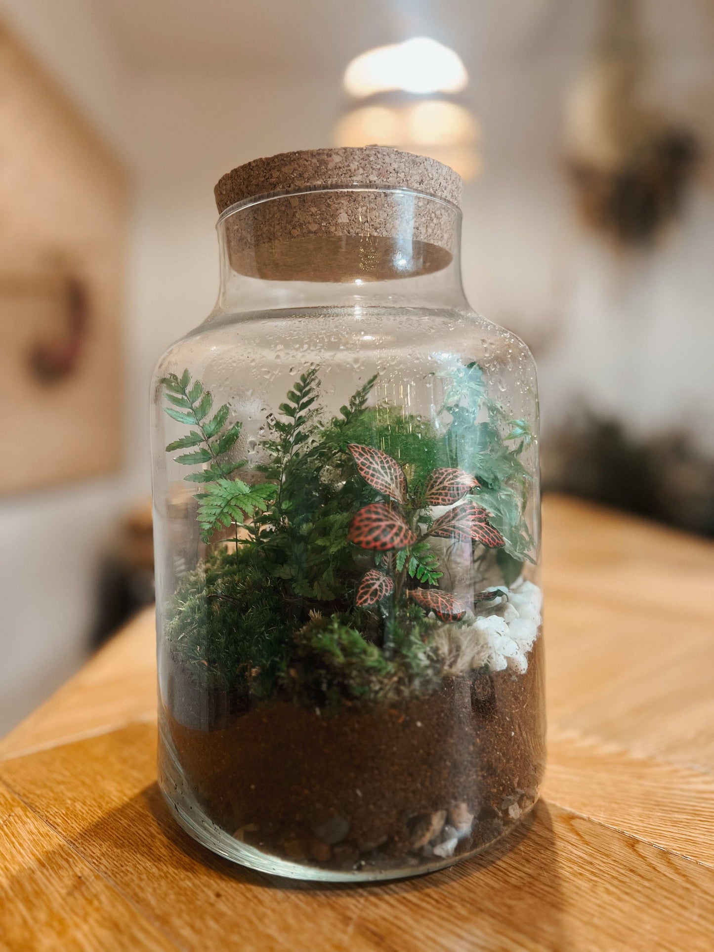 Milk Churn Terrarium