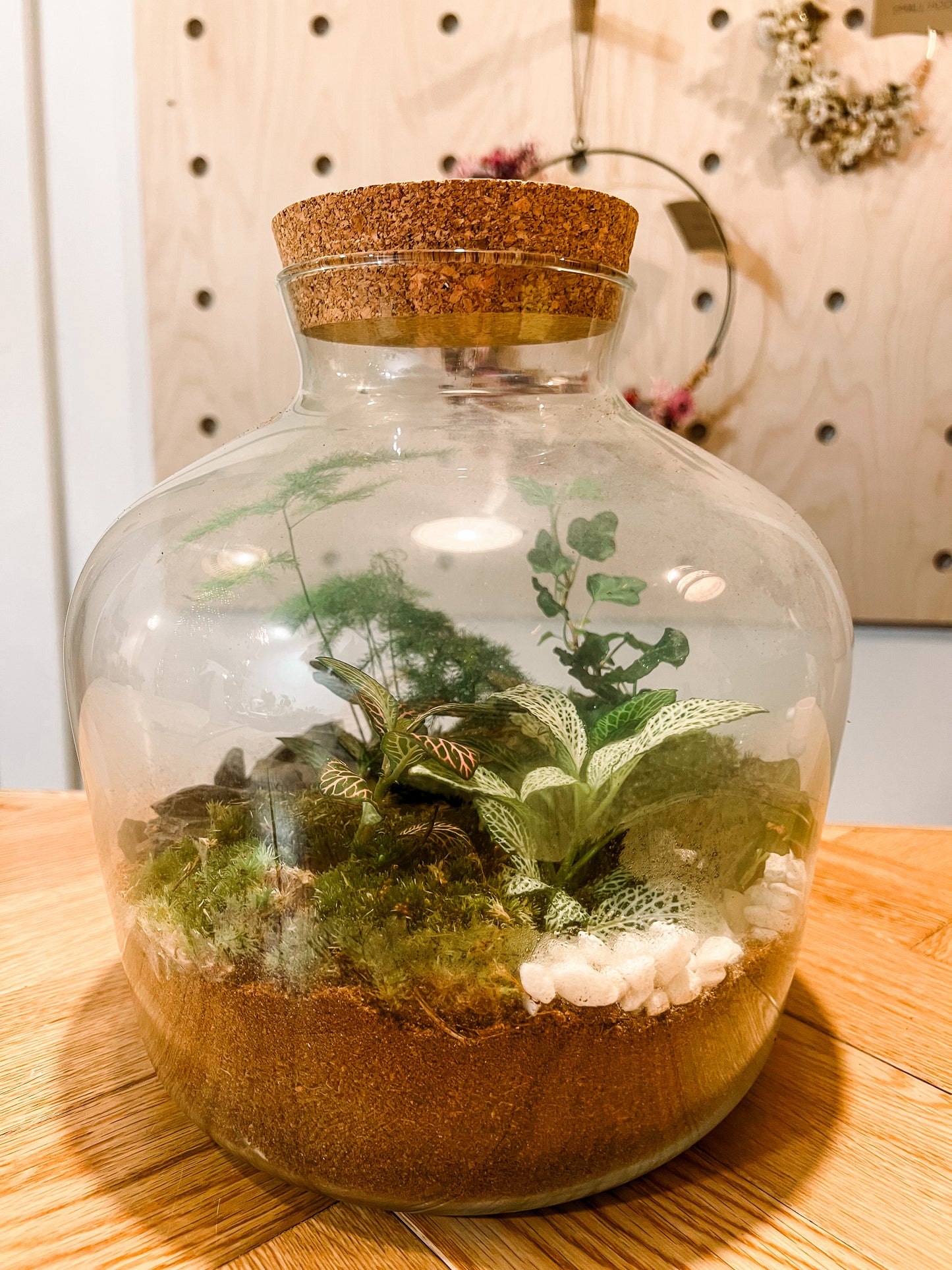 Edinburgh Terrarium Workshop