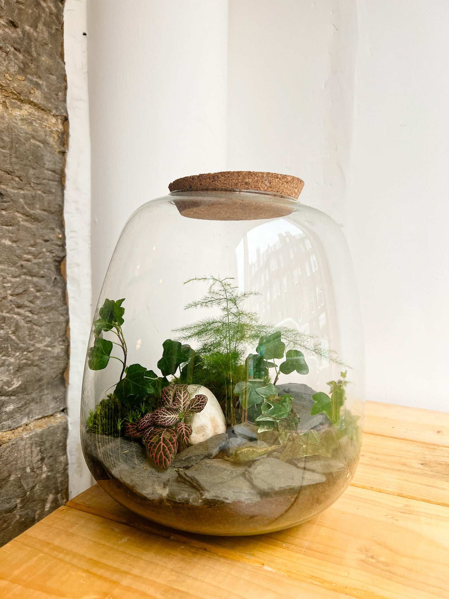 Dome Terrarium