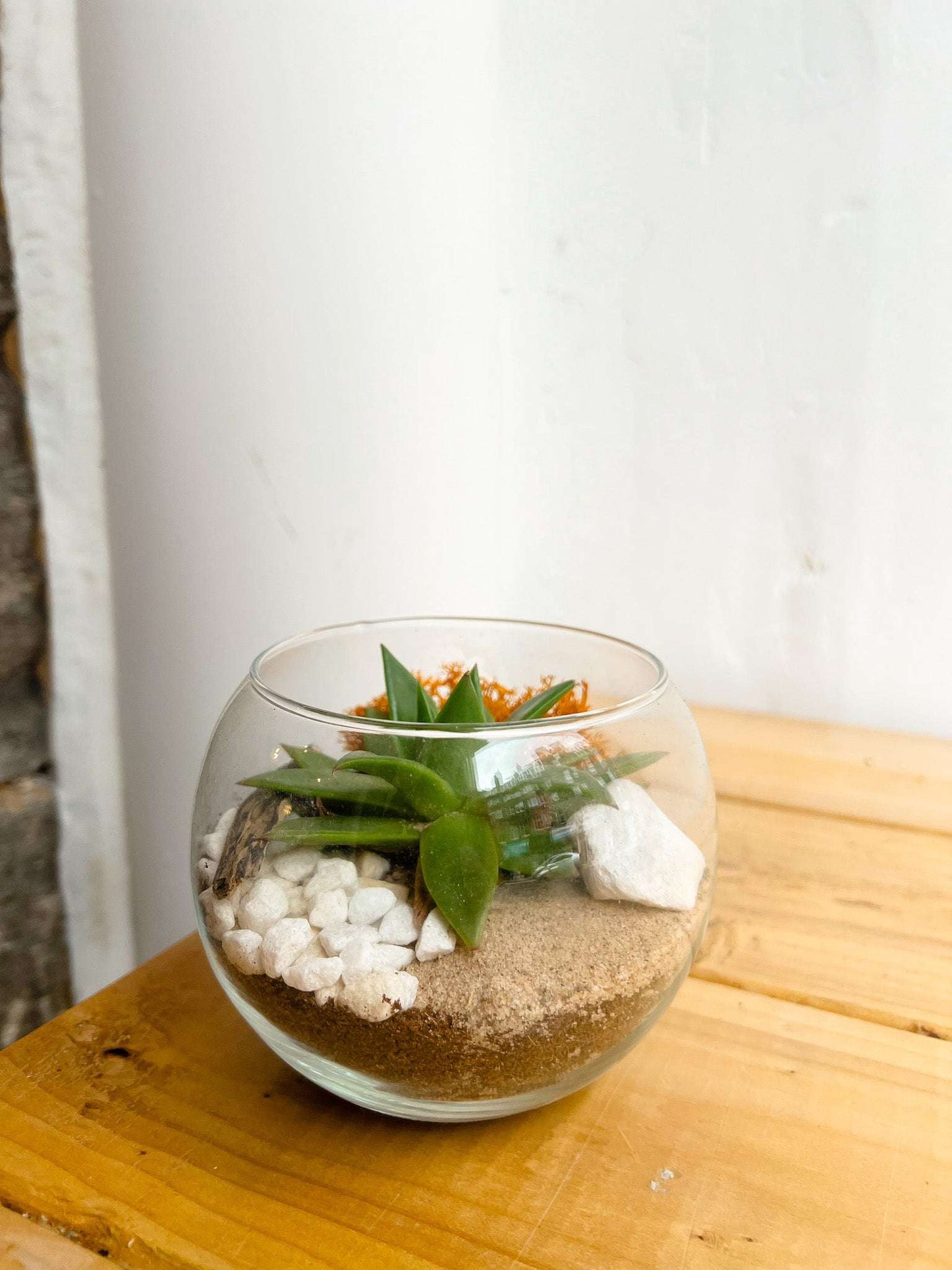 Desert Fishbowl Terrarium