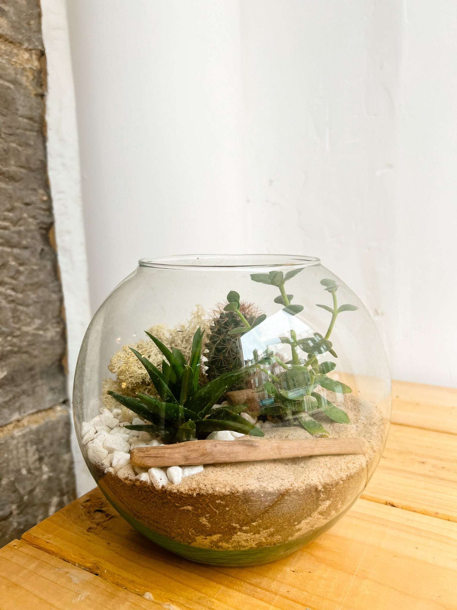 Terrarium Workshop - Large Desert Fishbowl - 26th January 2025