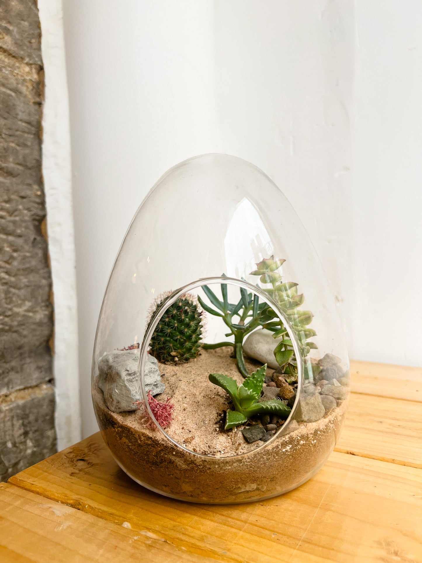 Desert Egg Terrarium