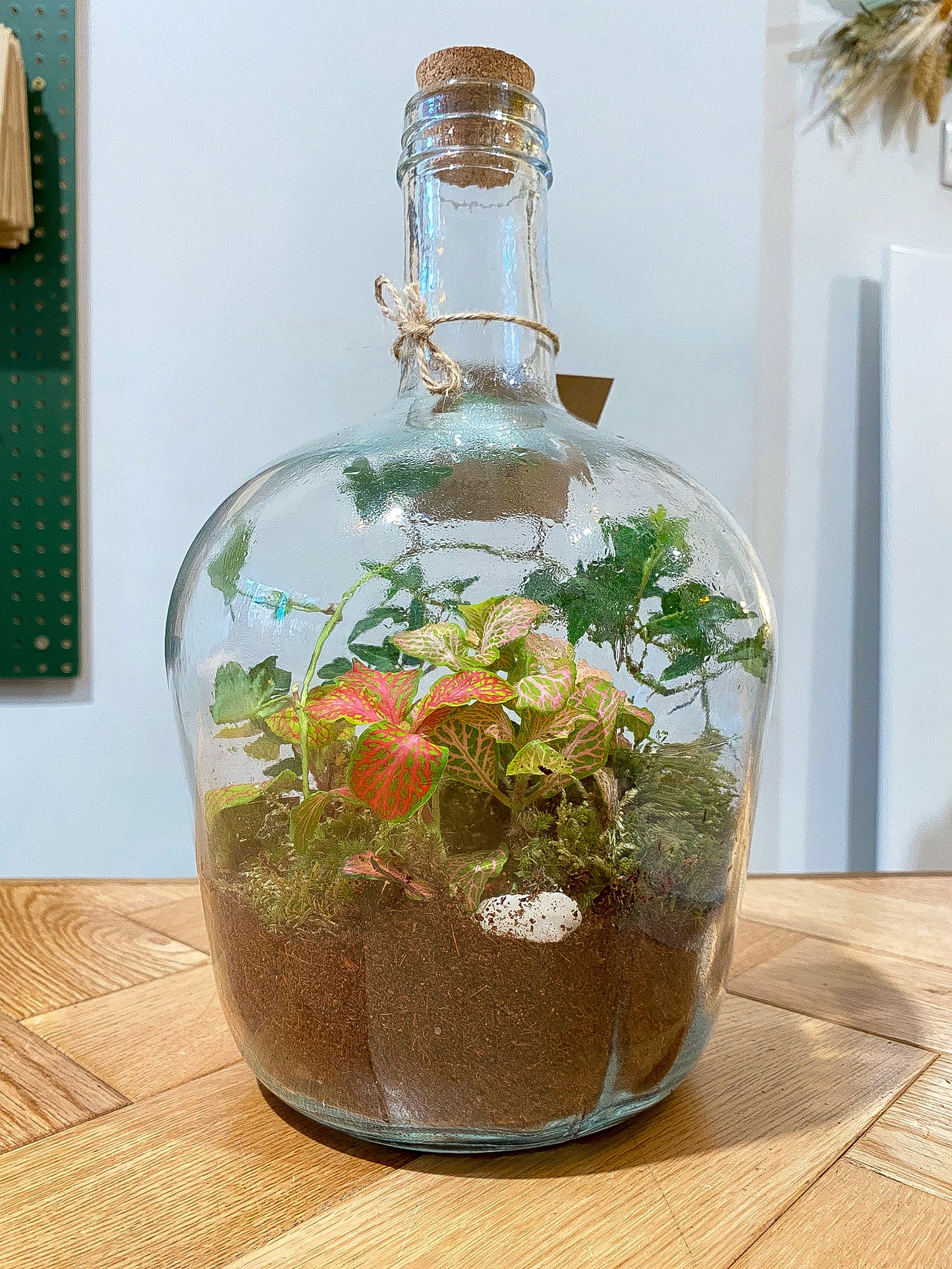 Terrarium Workshop - Closed Demijohn - 15th December 2024