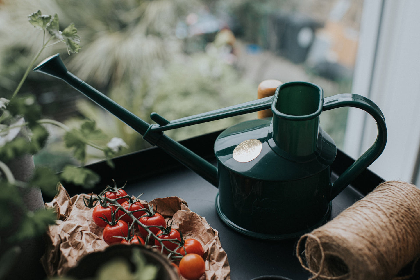 Langley Sprinkler Green Watering Can - One Pint