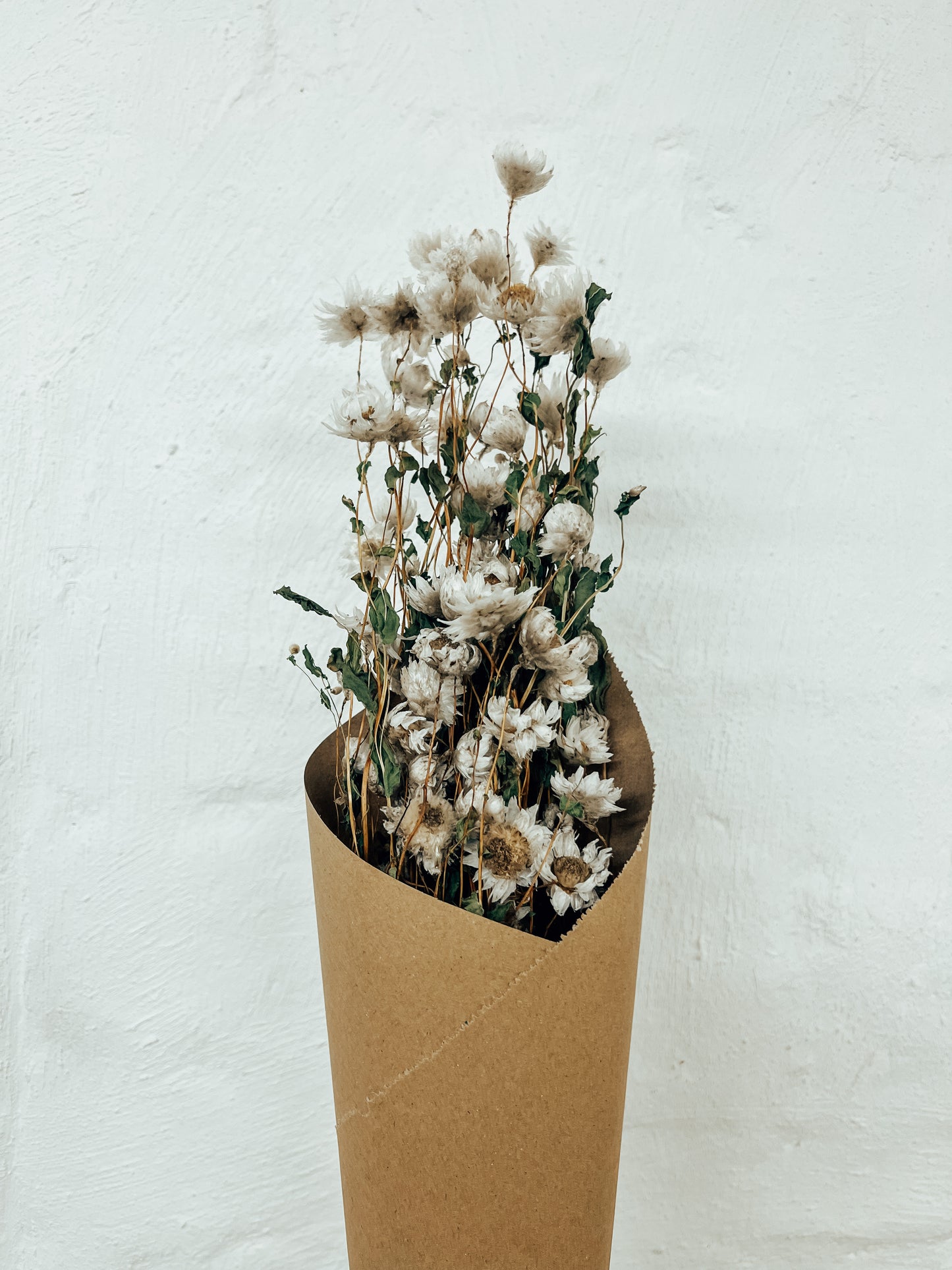 Preserved Rhodanthe bunch (daisies)