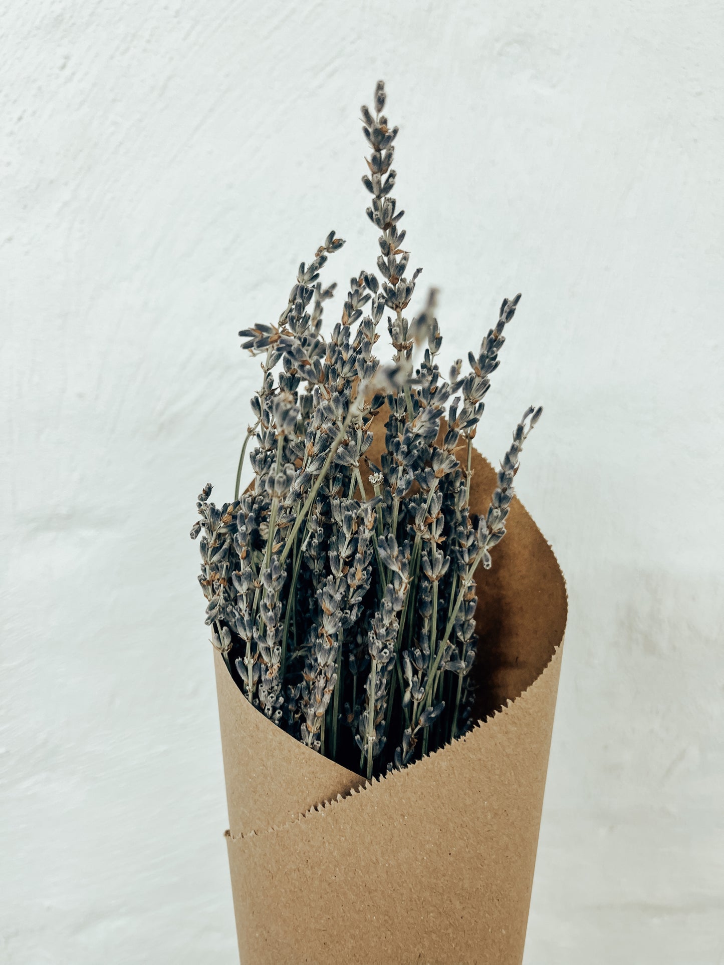 Preserved Lavender bunch