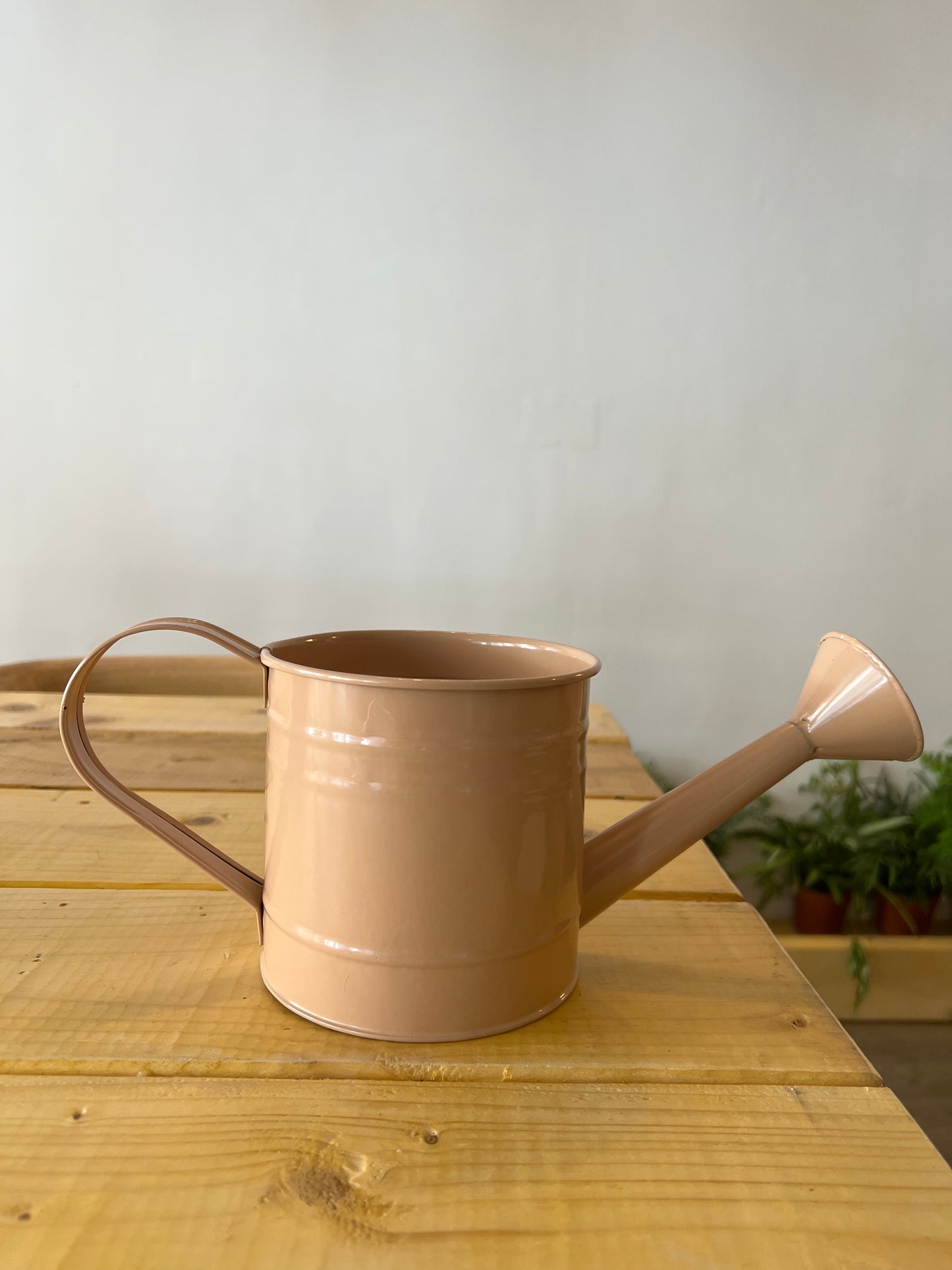 Peach Watering Can Pot