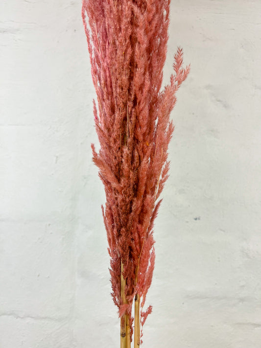 Pampas bunch (3 stems)- pink 90cm