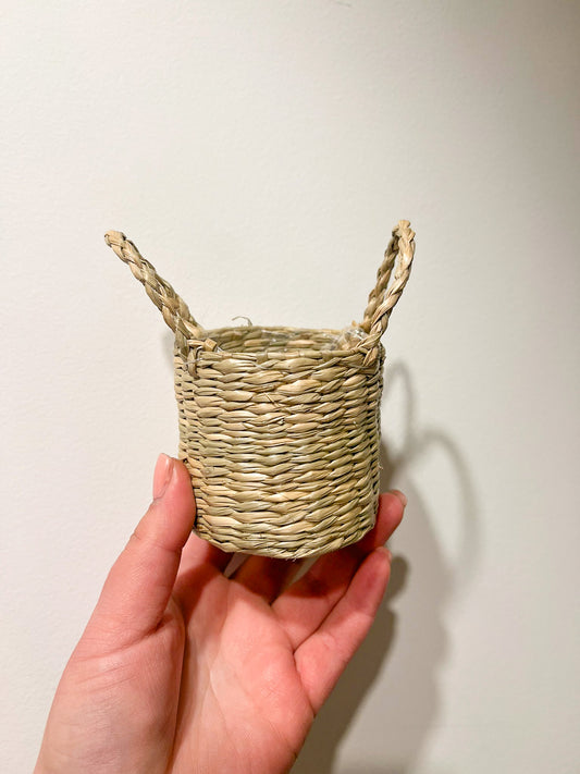 Basket Pot with Handles 6cm